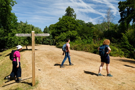 2026 07 25 034000 2000x1333